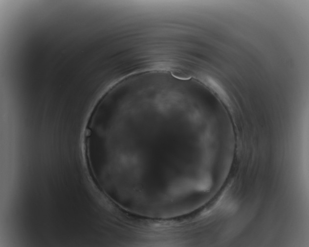 X0000089690899200706281413