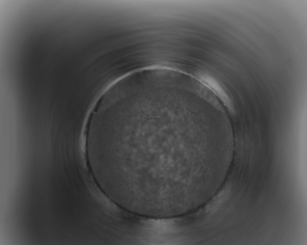 X0000089690900200706281413