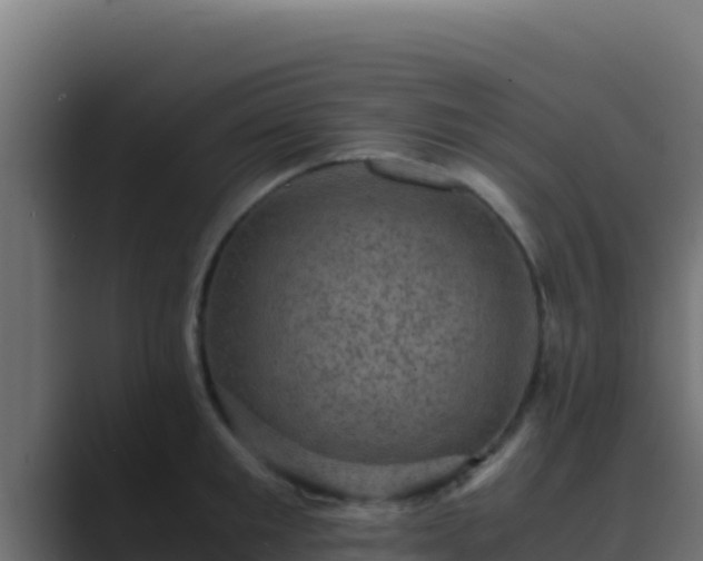 X0000089690901200706281413