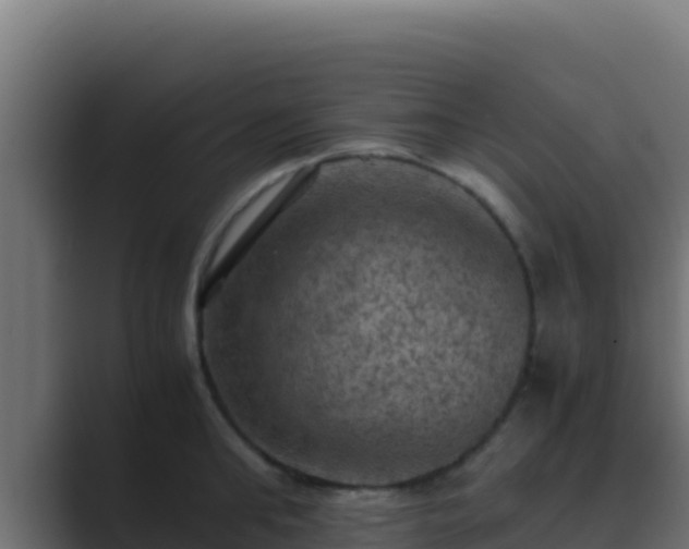 X0000089690902200706281413