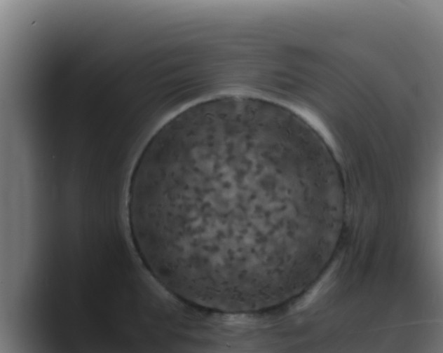 X0000089690903200706281413