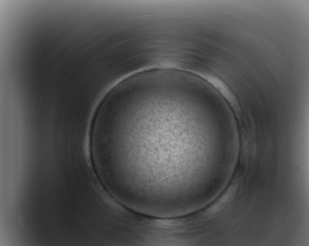 X0000089690904200706281413