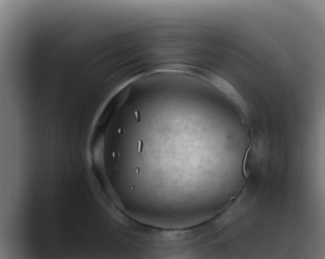 X0000089690908200706281413