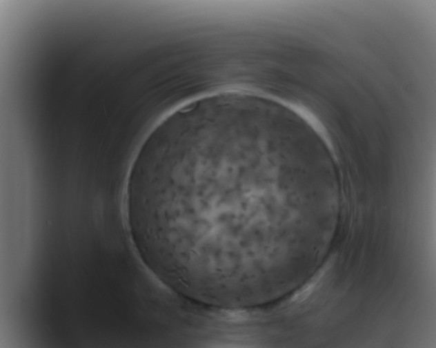 X0000089690911200706281413