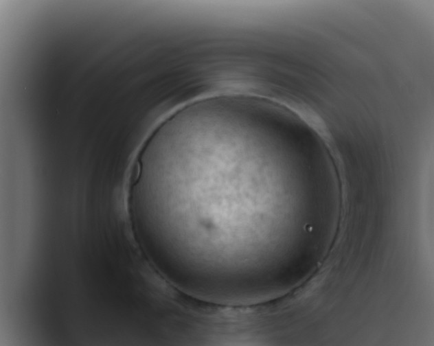 X0000089690912200706281413