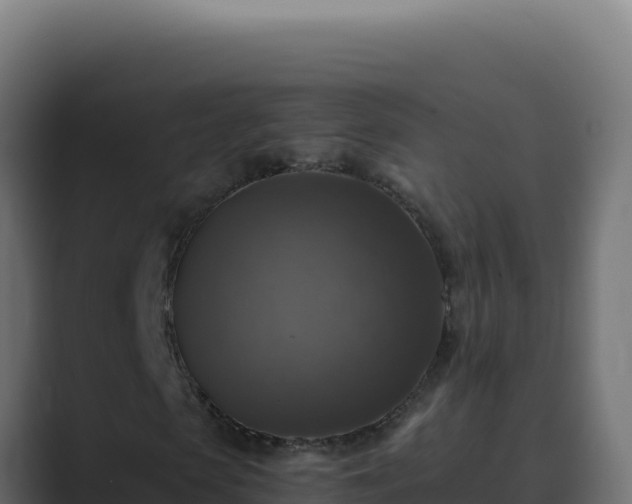 X0000089690913200706281413