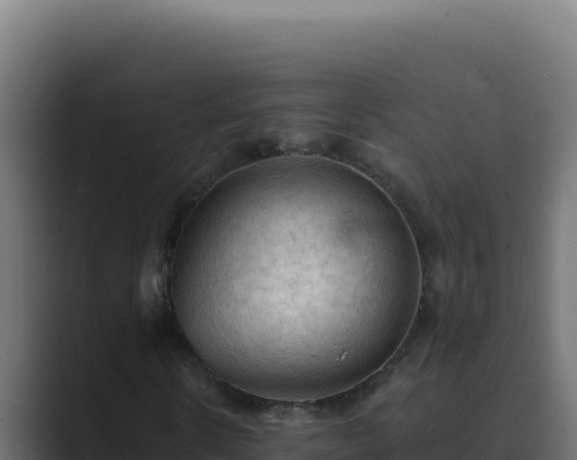 X0000089690914200706281413