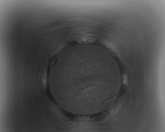 X0000089690915200706281413