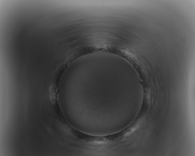 X0000089690916200706281413