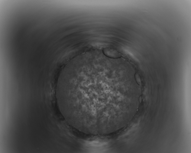 X0000089690917200706281413