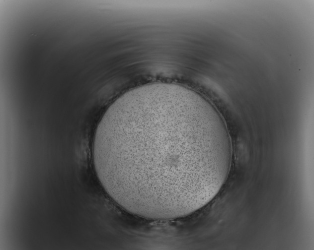 X0000089690918200706281413