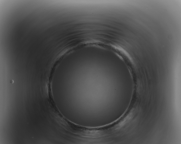 X0000089690921200706281413