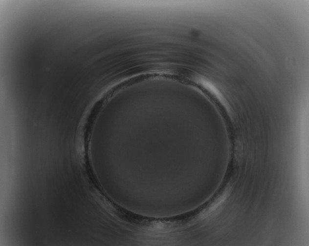 X0000089690923200706281413