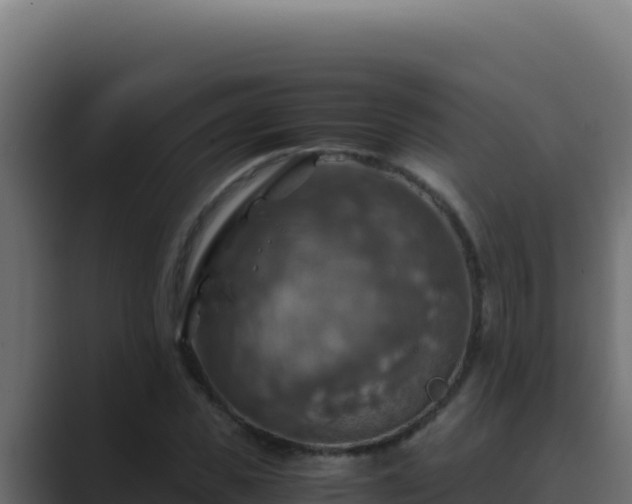 X0000089690925200706281413