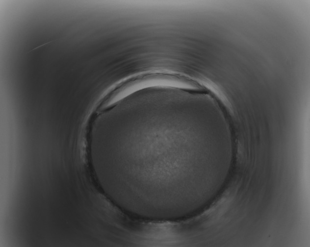 X0000089690926200706281413