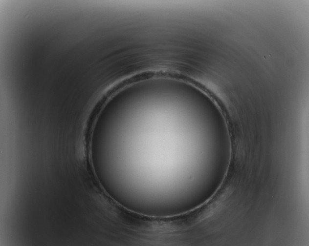 X0000089690927200706281413