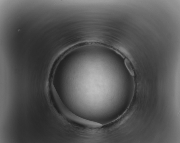 X0000089690928200706281413