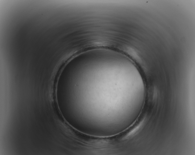 X0000089690930200706281413