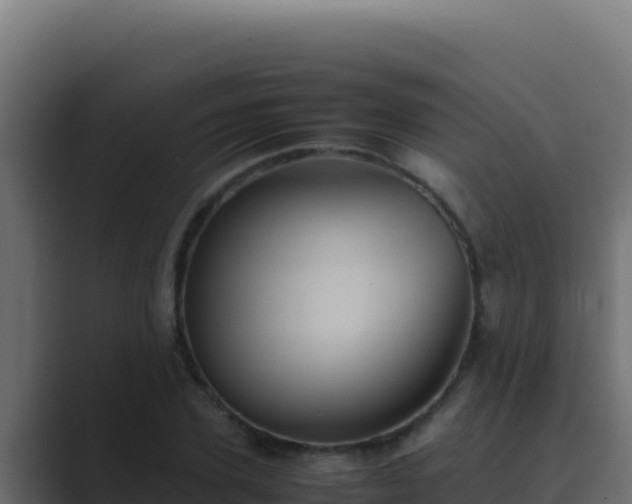 X0000089690931200706281413