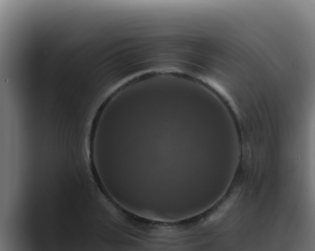 X0000089690935200706281413