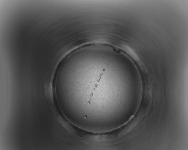 X0000089690936200706281413