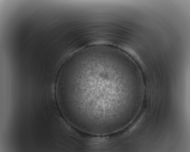 X0000089690937200706281413