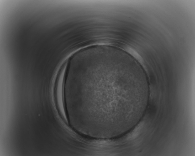 X0000089690939200706281413