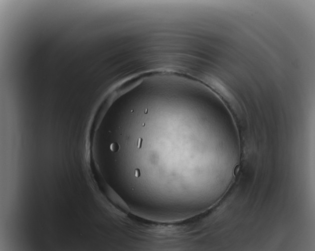 X0000089690940200706281413