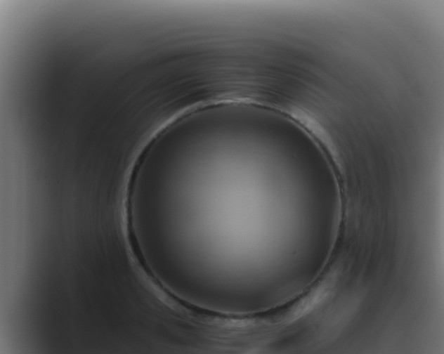 X0000089690941200706281413