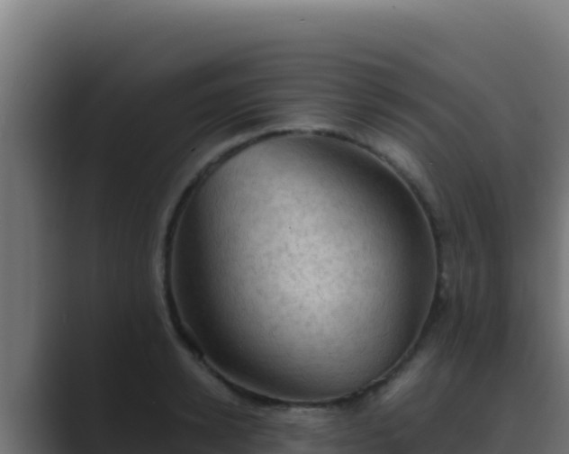 X0000089690942200706281413