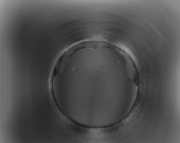 X0000089690944200706281413