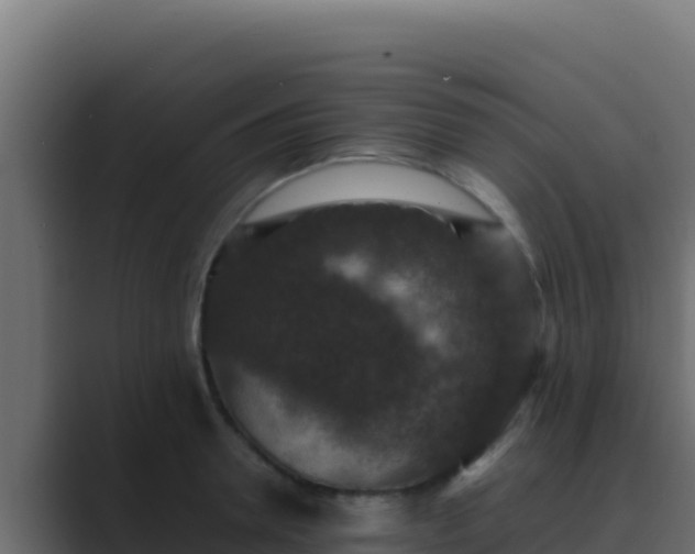 X0000089690946200706281413