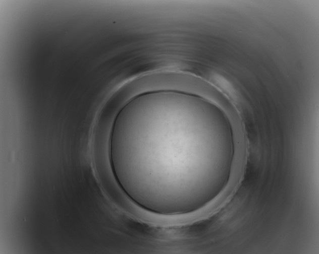 X0000089690948200706281413