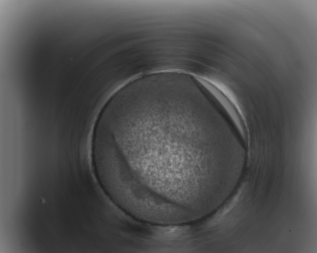 X0000089690949200706281413