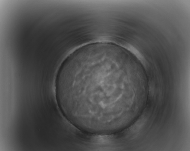 X0000089690950200706281413