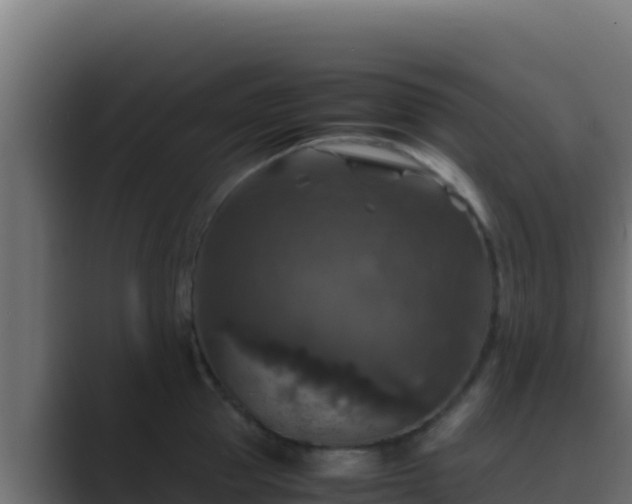 X0000089690953200706281413