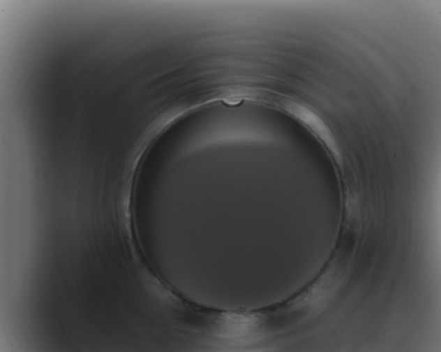 X0000089690954200706281413