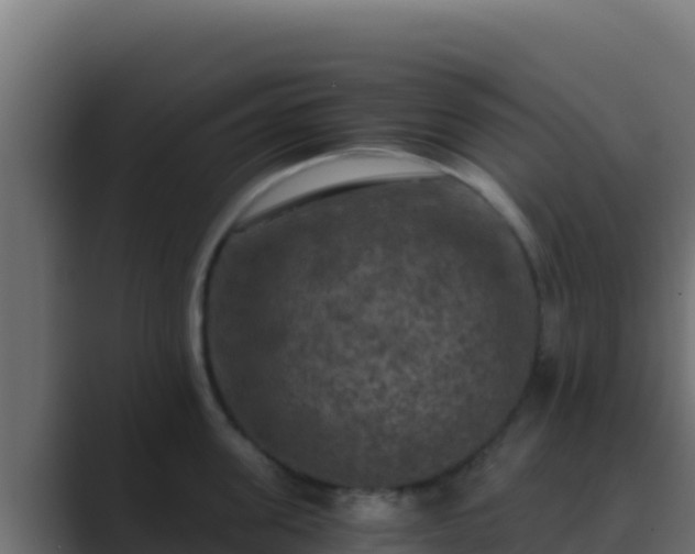 X0000089690955200706281413