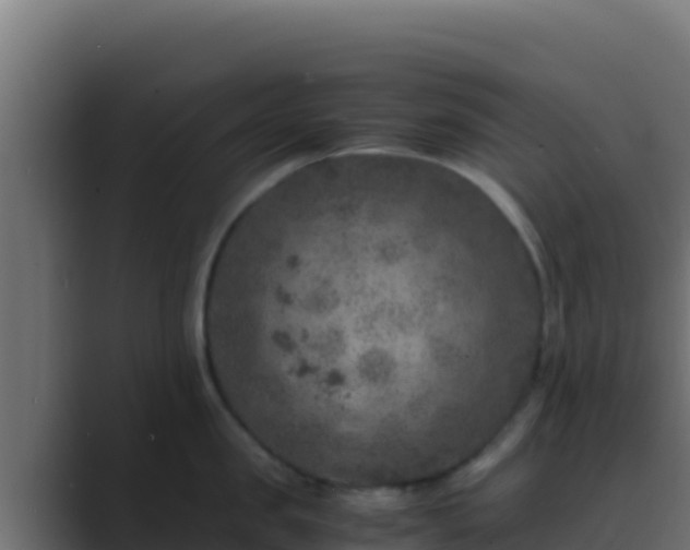 X0000089690957200706281413