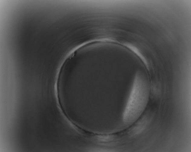 X0000089690959200706281413