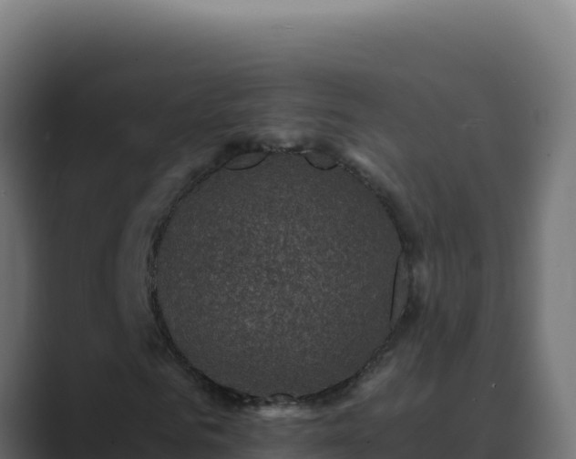 X0000089690961200706281413