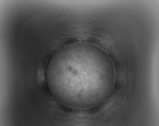 X0000089690962200706281413