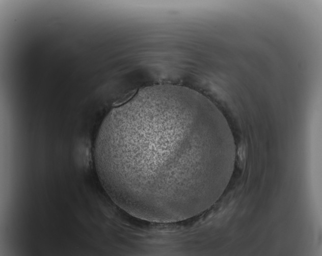 X0000089690963200706281413