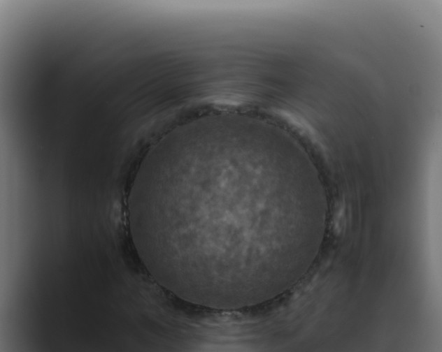 X0000089690966200706281413