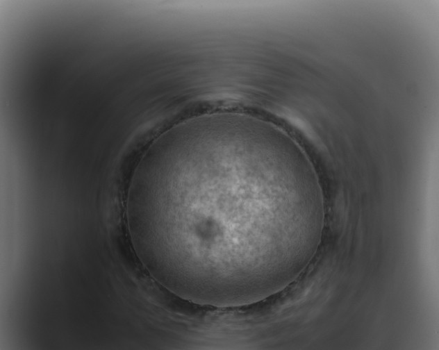 X0000089690967200706281413