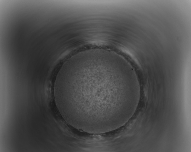 X0000089690968200706281413