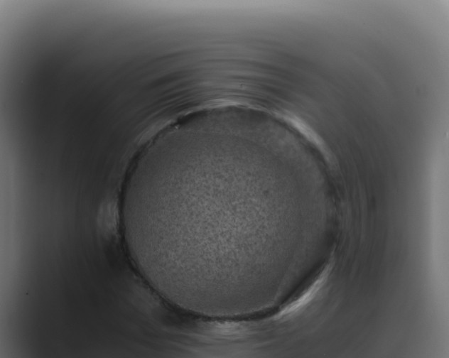 X0000089690969200706281413