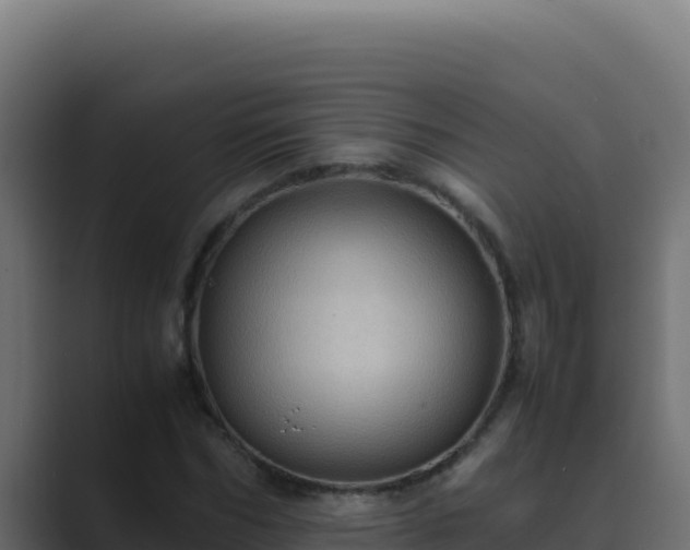 X0000089690970200706281413