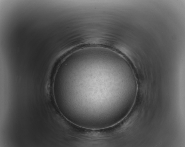 X0000089690971200706281413