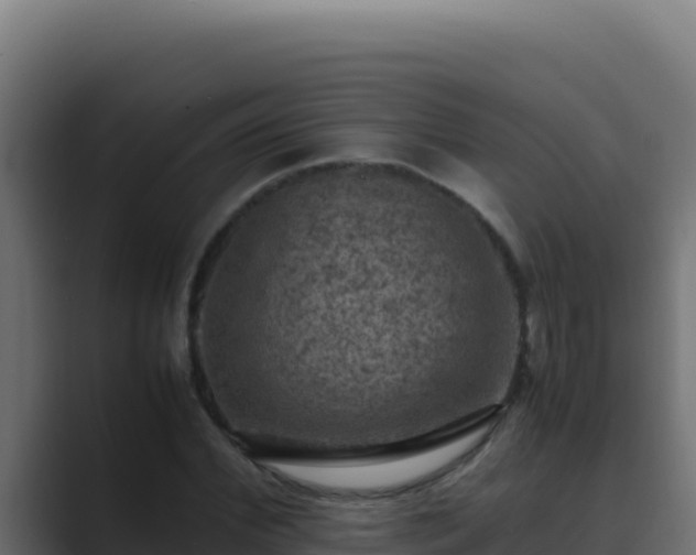 X0000089690972200706281413